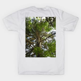 Mossy Tree Nature Photography Pacific Northwest T-Shirt